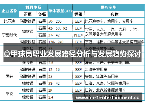 意甲球员职业发展路径分析与发展趋势探讨 意甲球员职业发展路径分析与发展趋势探讨