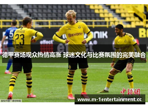 德甲赛场观众热情高涨 球迷文化与比赛氛围的完美融合 德甲赛场观众热情高涨 球迷文化与比赛氛围的完美融合