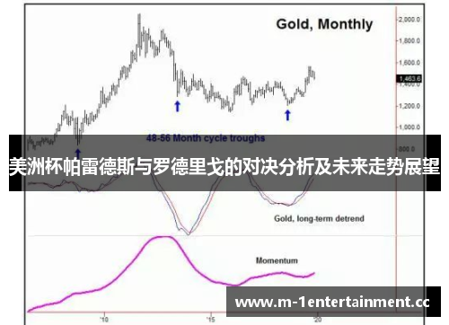 美洲杯帕雷德斯与罗德里戈的对决分析及未来走势展望