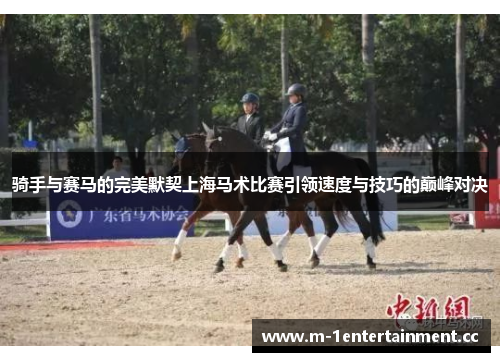 骑手与赛马的完美默契上海马术比赛引领速度与技巧的巅峰对决