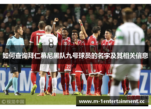 如何查询拜仁慕尼黑队九号球员的名字及其相关信息